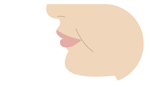 E-line（エステティックライン）による横顔の評価イメージ